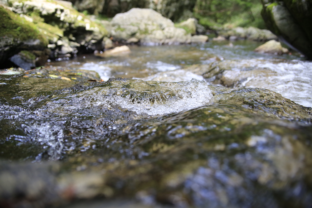 新庄村を流れる美しい水