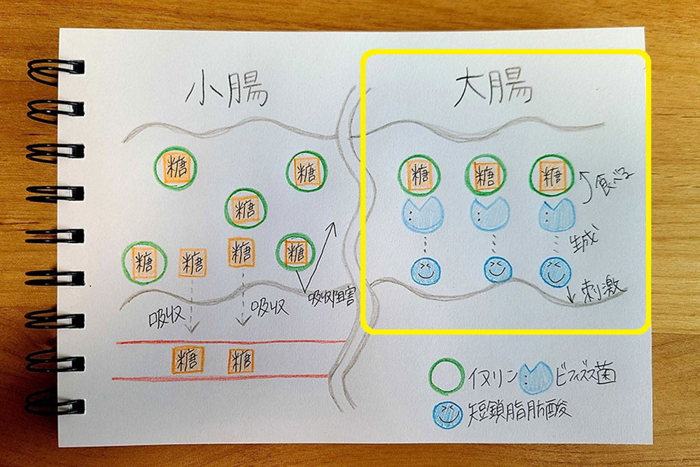 イラスト