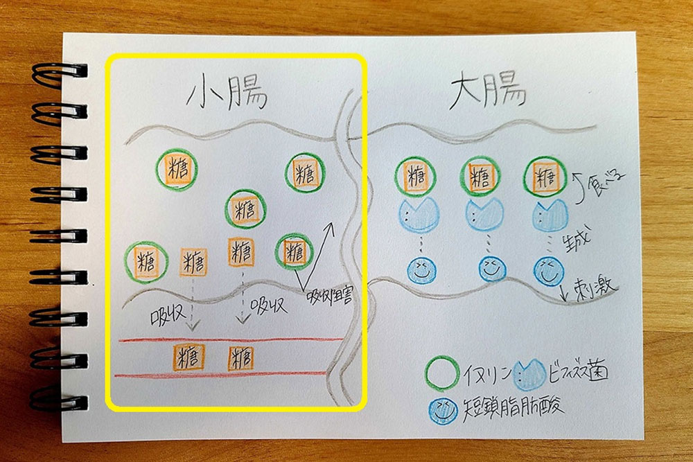 イラスト